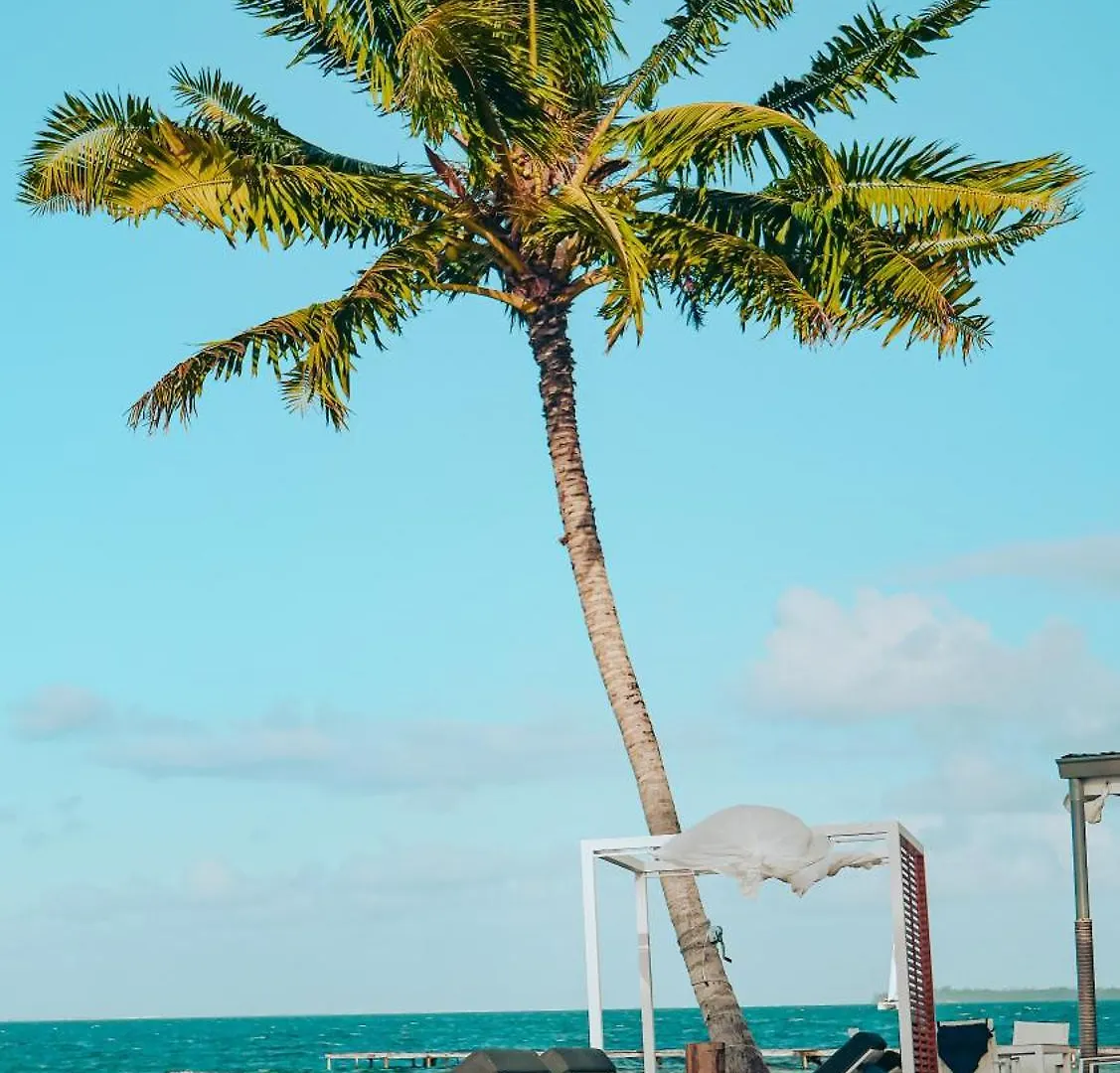 Pension Irivai, Appartement Uo Uo 3 Chambres Vue Mer Uturoa 0*,